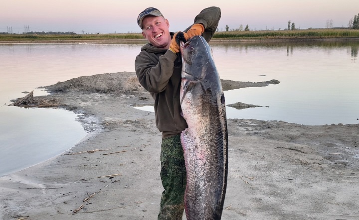 34-килограммовый сом. Фото Антона Куренкова