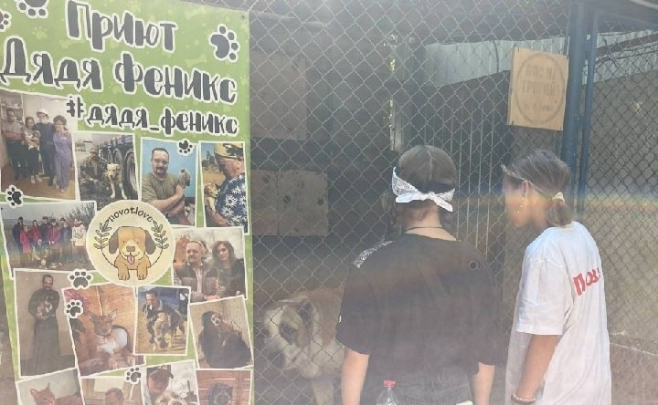 Школьники в приюте «Дядя Феникс». Фото с официальной страницы приюта «Дядя Феникс» в ВКонтакте