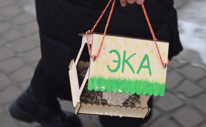 Кормушка для птиц. Фото telegram-канала организации «Эка-Азов»