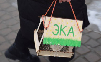 Кормушка для птиц. Фото telegram-канала организации «Эка-Азов»