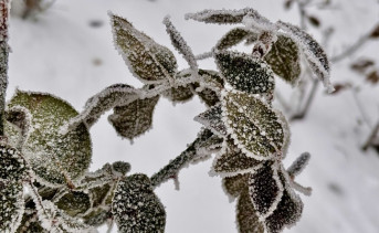 Январь в Таганроге. Фото ruffnews.ru