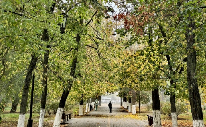 Осенний парк. Фото Романа Гурина