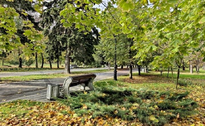 Осенний парк. Фото Романа Гурина