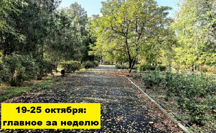 Осенний парк. Фото Романа Гурина