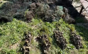 Раколовки. Фото пресс-службы ГУ МВД России по Ростовской области