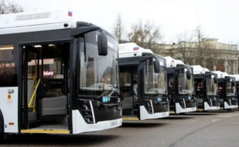 Автобусы. Фото donland.ru