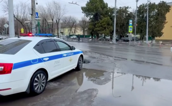Место ДТП. Скриншот видео пресс-службы Госавтоинспекции Ростовской области