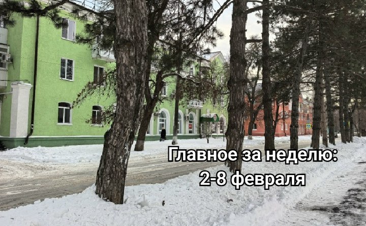 Сквер Берёзка. Фото Романа Гурина