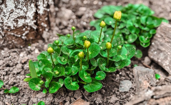 Март в Таганроге. Фото ruffnews.ru