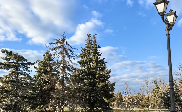 Весенний Петровский бульвар. Фото Романа Гурина