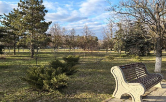 Парк Памяти. Фото Романа Гурина