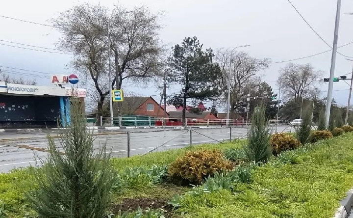 Клумба по улице Красногоровской. Фото пресс-службы администрации Азова