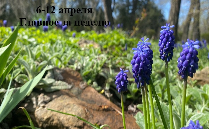 Цветы на клубе. Фото Александры Олейниковой