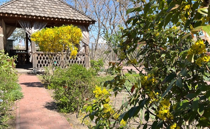 Госшитальный сад. Фото пресс-службы Азовского музея-заповедника