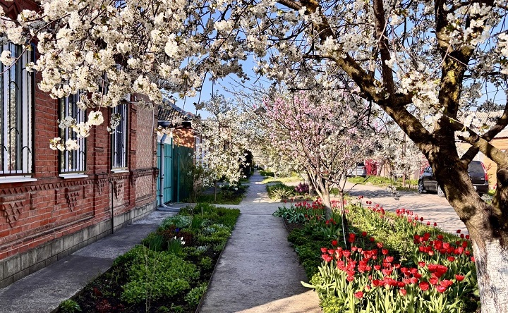 Апрель в Таганроге. Фото ruffnews.ru