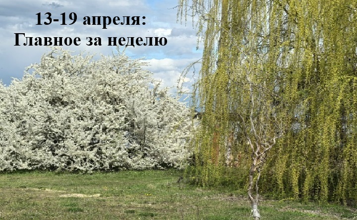 Весенний Азов. Фото Романа Гурина