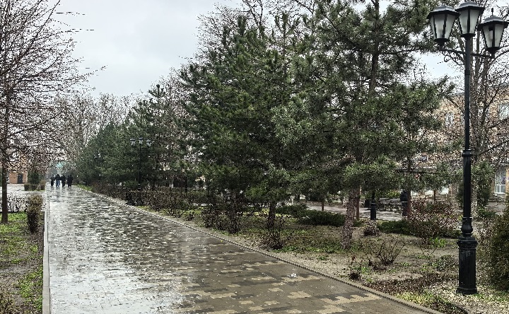 Дождливый Петровский бульвар. Фото Романа Гурина