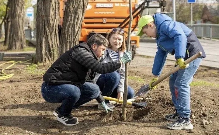 День древонасаждения в Таганроге. Фото telegram-канала Светланы Камбуловой