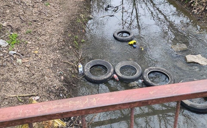 Малая Черепаха. Фото МКУ «Благоустройство»