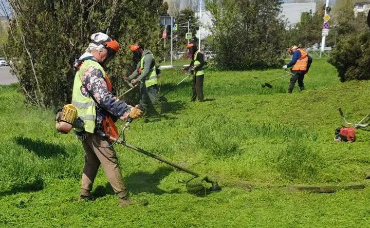 Покос травы. Фото telegram-канала Павла Исакова