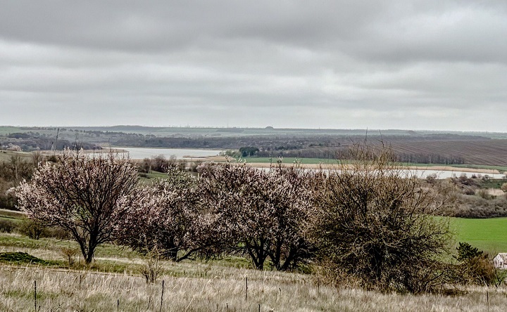 Апрель, Сухосорматка. Фото ruffnews.ru