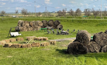 Природный парк. Фото telegram-канала парка «Киммерия»