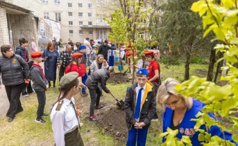 Посадка лип на Алее Памяти. Фото канала Светланы Камбуловой