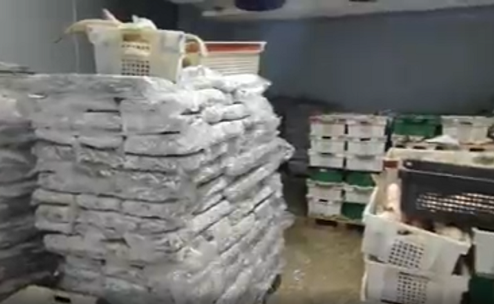 Изъятая рыба. Фото пресс-службы управления Росгвардии по Ростовской области