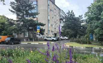 Дом. Фото Романа Гурина