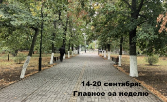 Осенний парк. Фото Романа Гурина