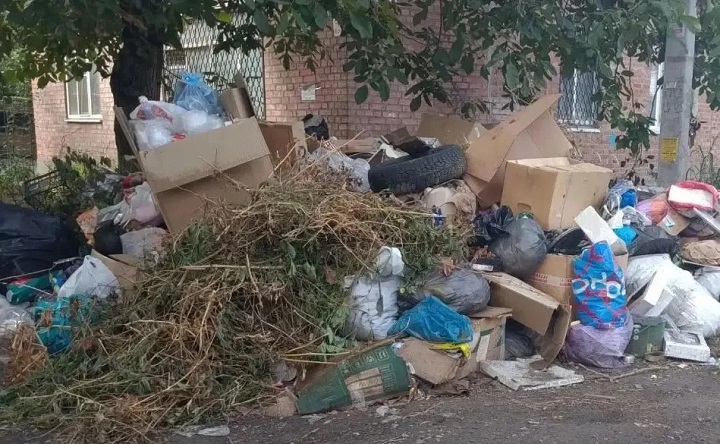 Свалка на Яблочкина. Фото Егора Долматова
