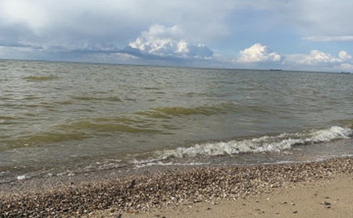 Азовское море. Фото donnews.ru